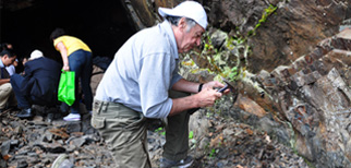 現(xiàn)場三維模擬展示